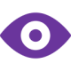 vision